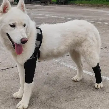 Šuns Kojos Dirželis Klubo Sąnario Priežiūros pagalba Petnešomis Šunų Šunų Priekinių Kojų Petnešomis Suplėšyti ACL Šuo Kelio Užgniaužti Wrap Smulkaus ir Vidutinio Šunys